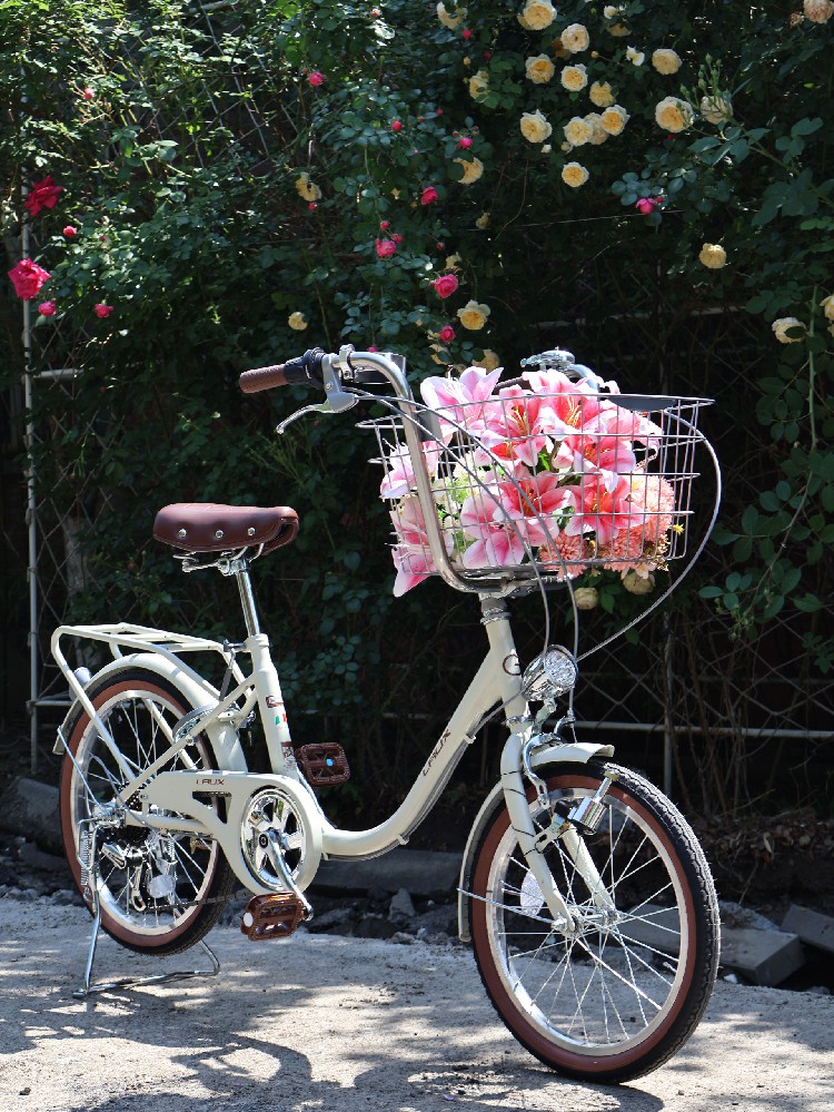 城市治堵，自行车扮演什么角色？